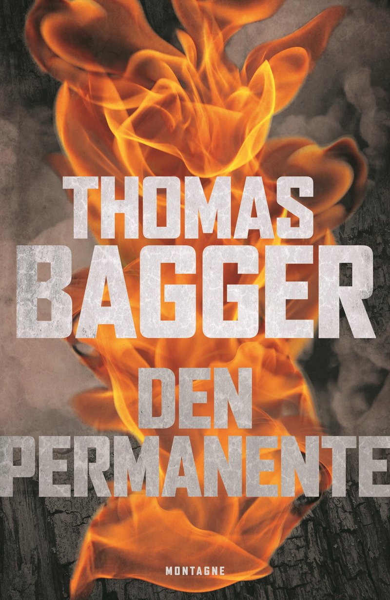 Omslag: Den permanente